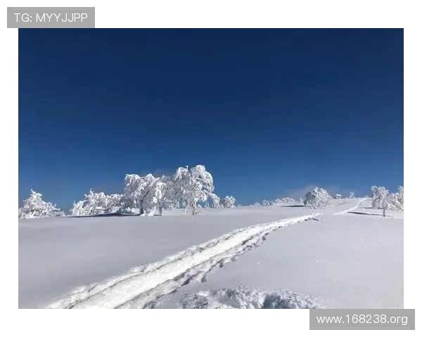 喜乐乐滑雪场官网：全方位介绍与最新优惠信息